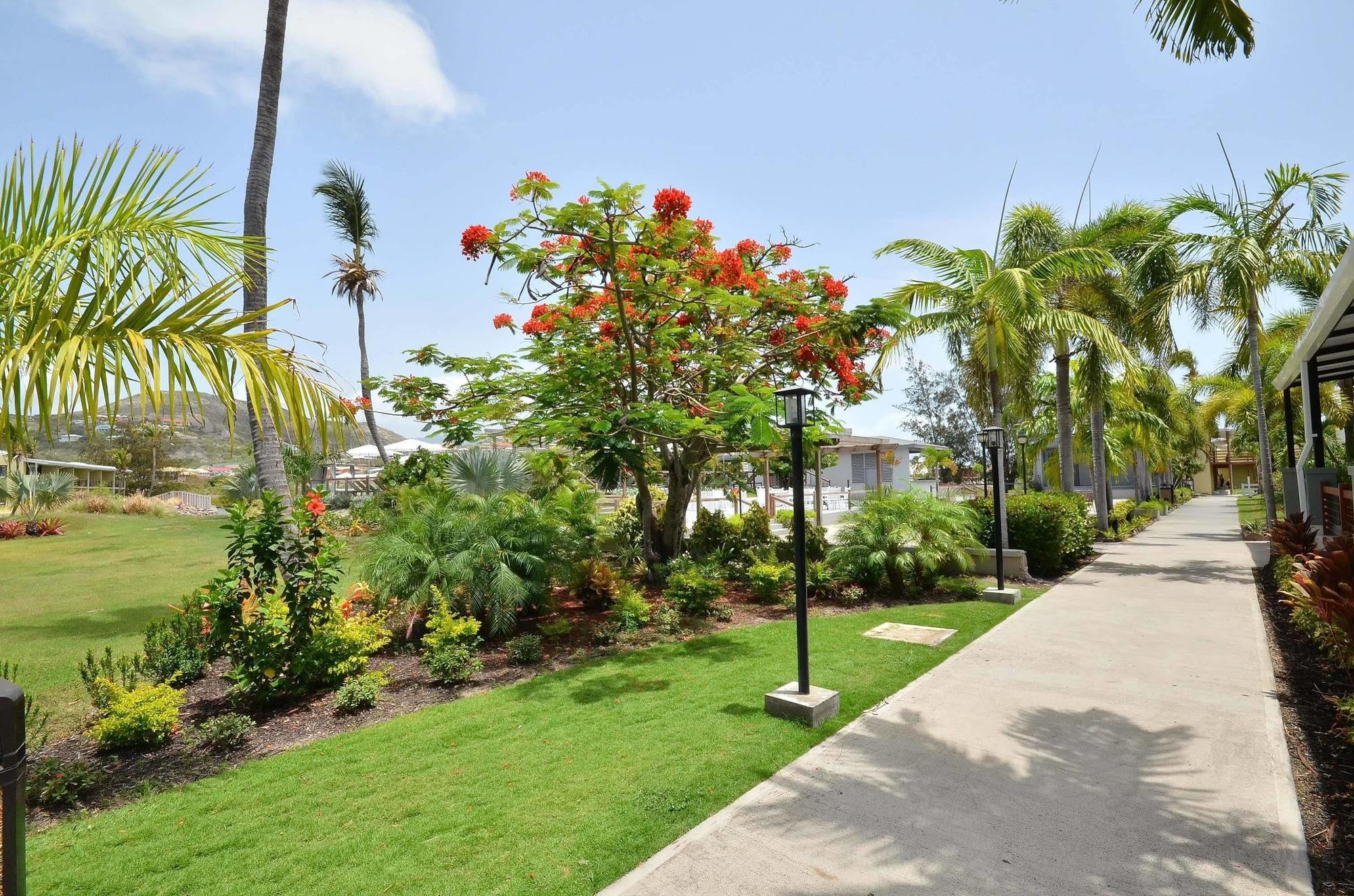 Royal St. Kitts Hotel Frigate Bay Eksteriør bilde